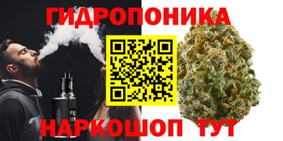 стаф Кимры