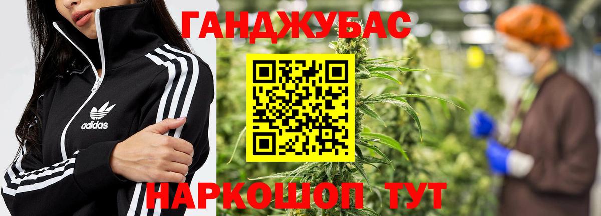 Бошки Шишки планчик Коммунар